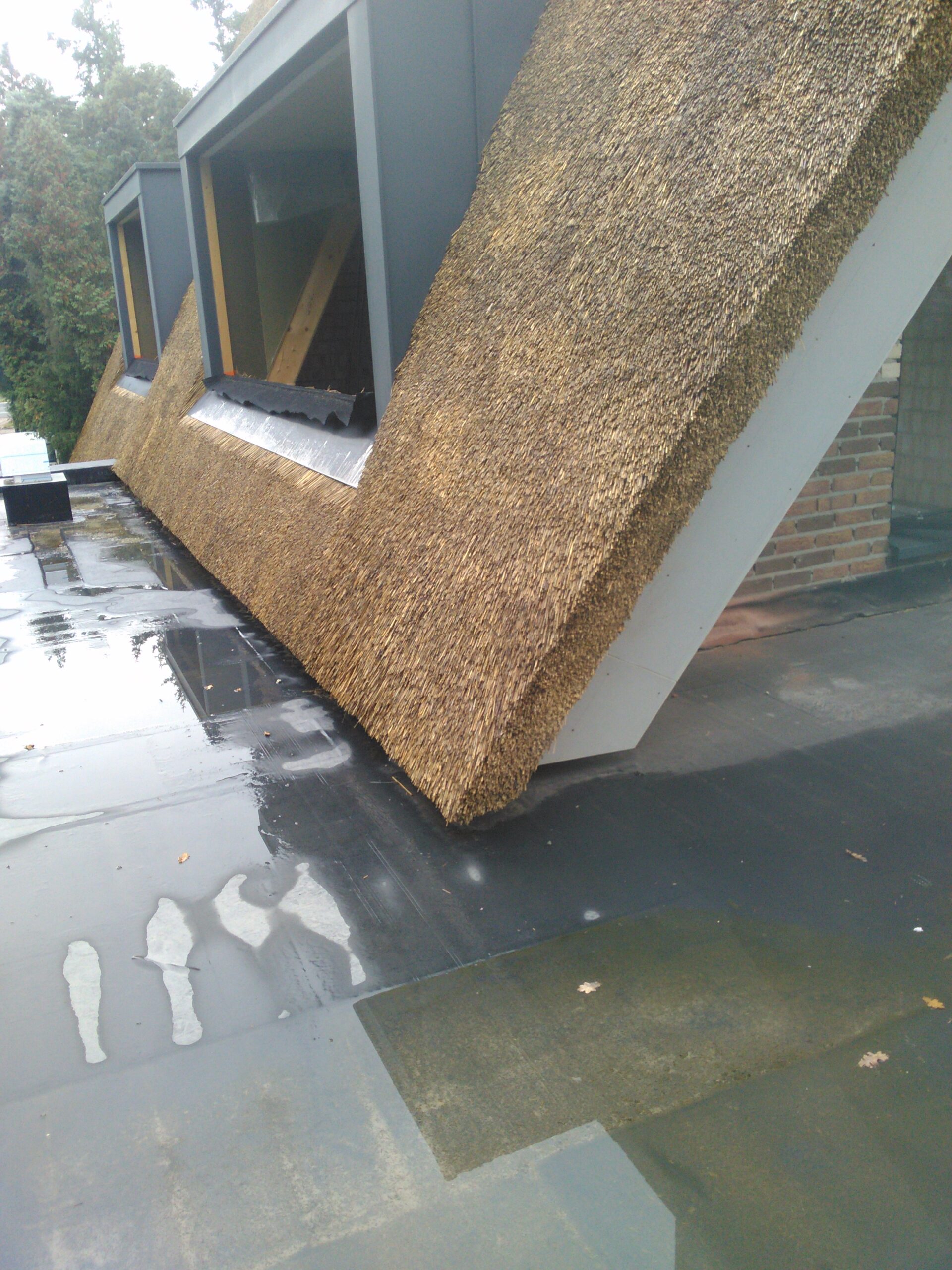 Loodafwerking rieten dak — Sint-Michielsgestel